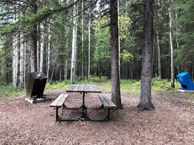 Picnicking site in nature