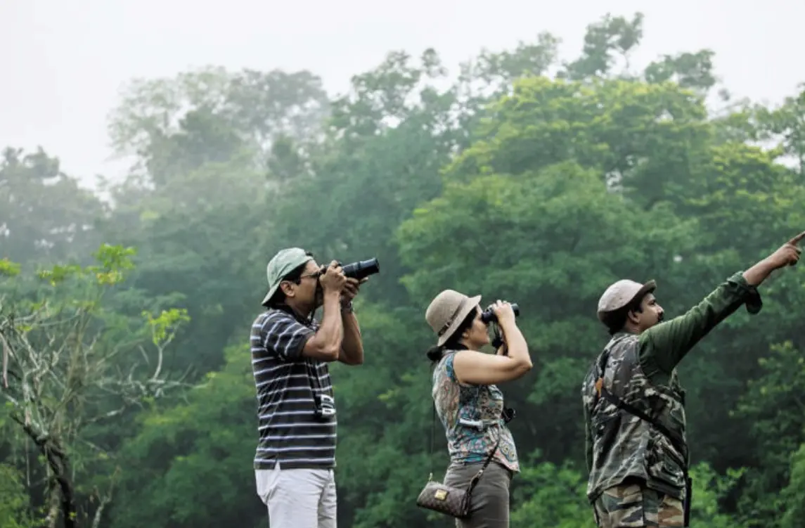 A group of people bird watching