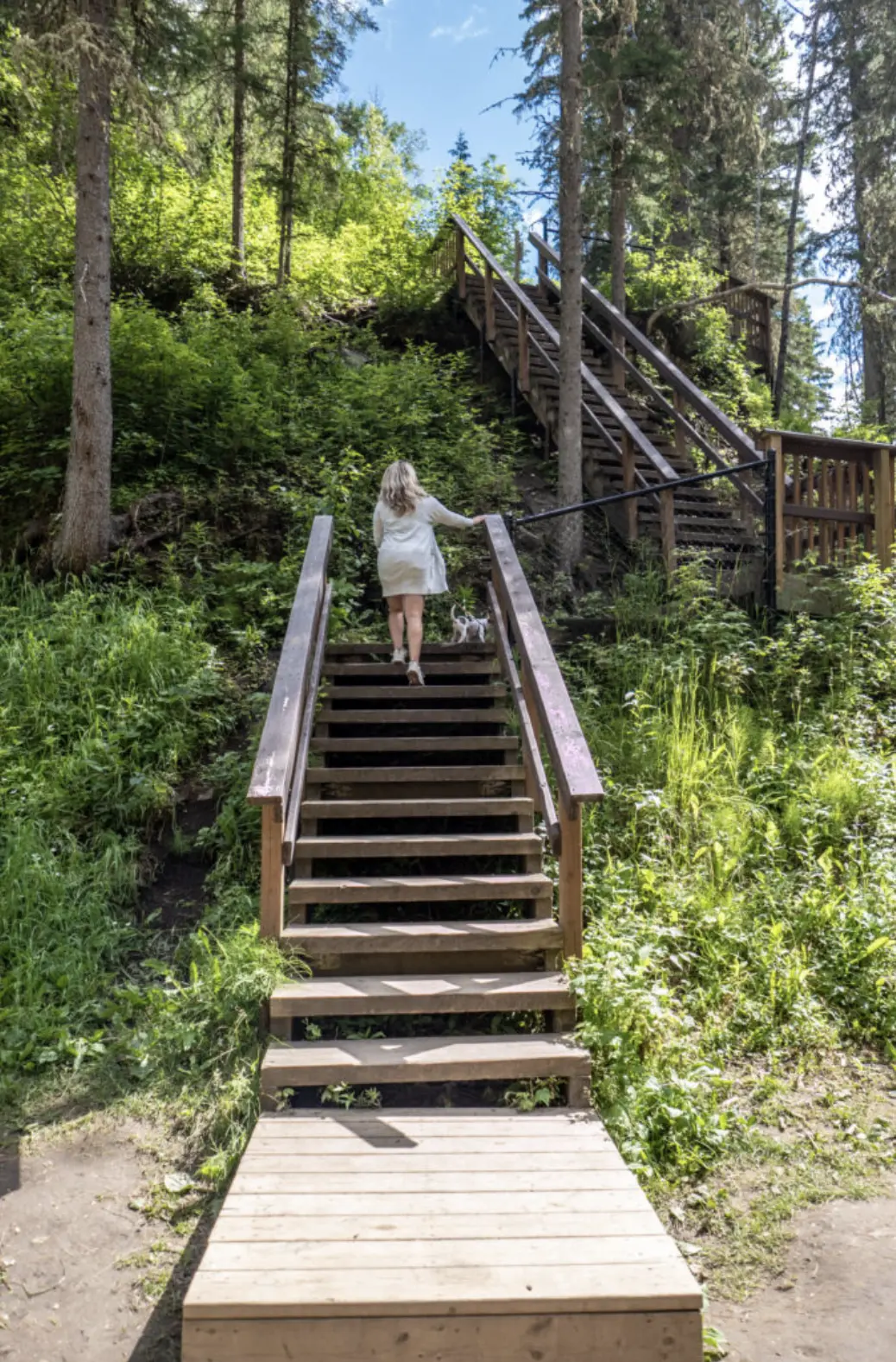 Shot of woman climbing up a set of wodden stairs at hard luck